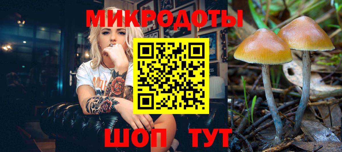 Псилоцибиновые грибы прущие грибы  Вход с VPN  продажа наркотиков  Псилоцибиновые грибы GOLDEN TEACHER  Полевской 